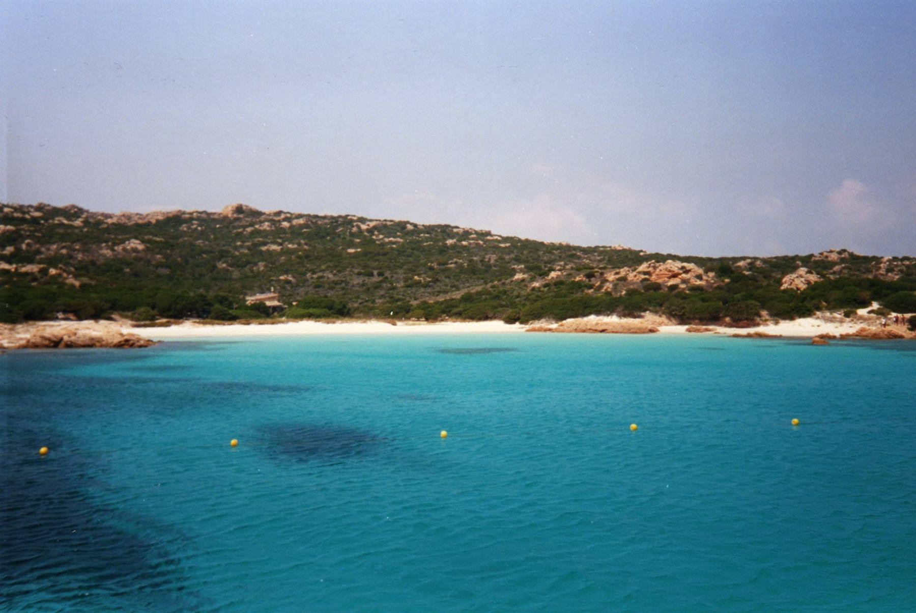 Arcipelago della Maddalena-spiaggia rosa