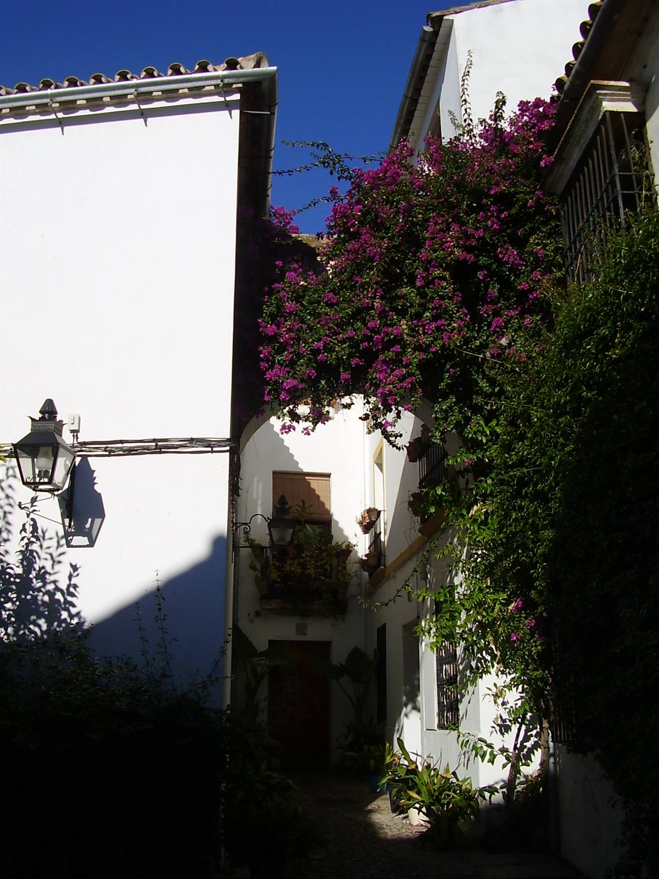 cordoba