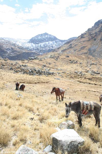 L'inizio del trekking