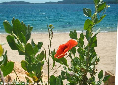 golfo di sogno
