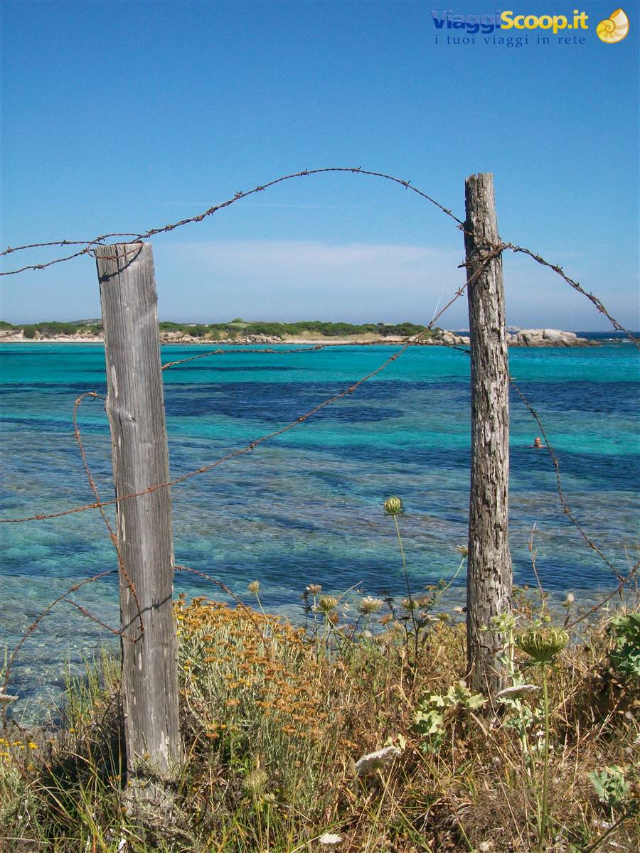 guardando verso l'isola di Piantarella