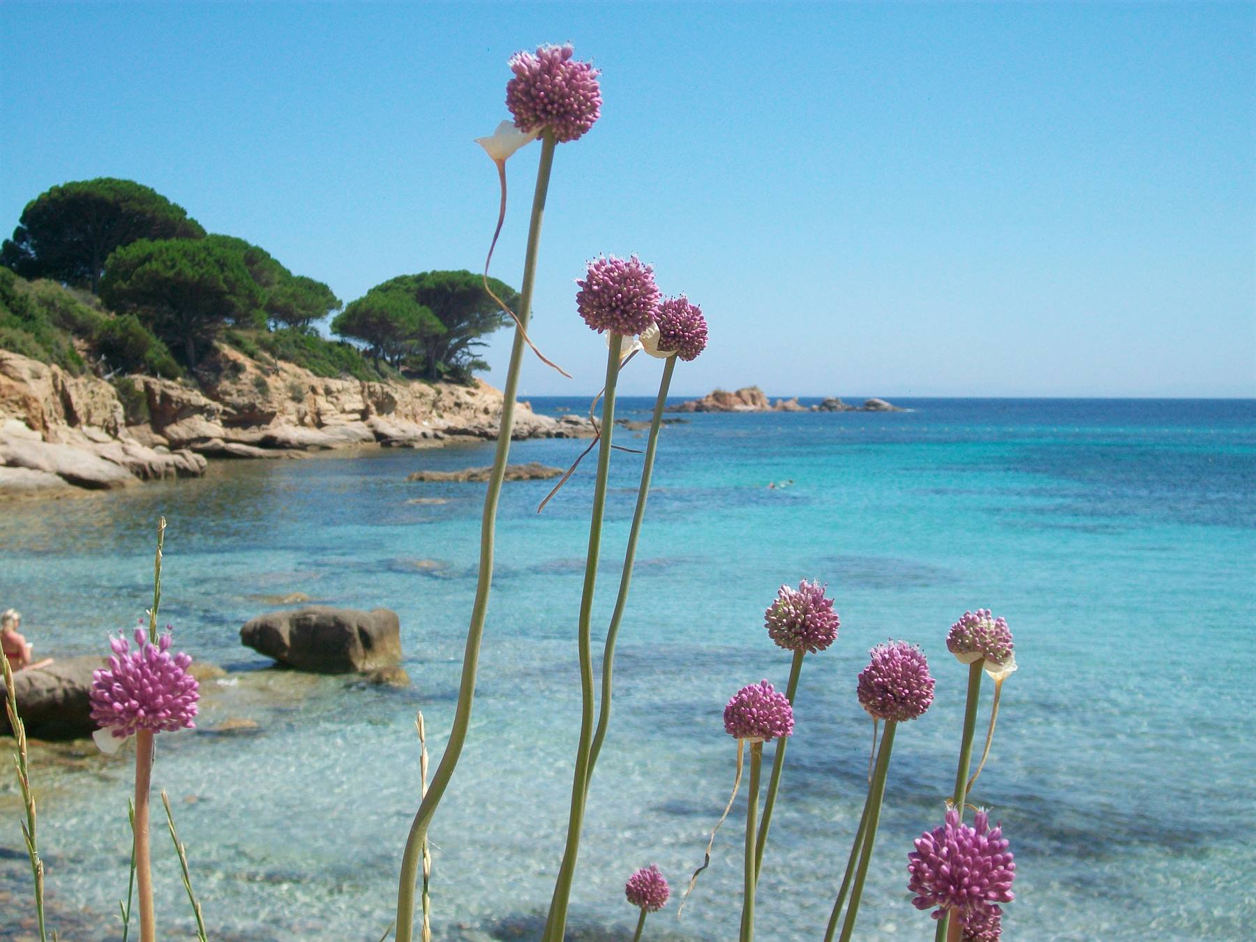 palombaggia sud