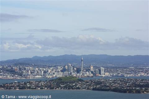 Auckland City