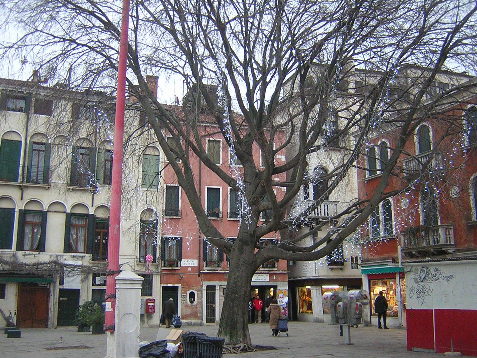 S. Polo