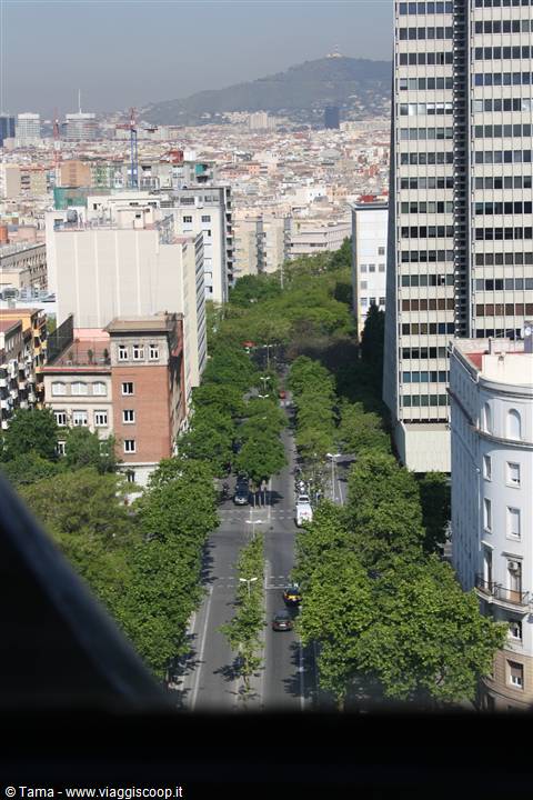 Las Ramblas dal Mirador de Colom