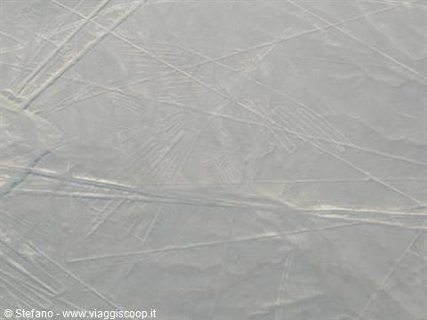 Nasca Linee Il Condor