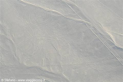 Nazca lines scimmia