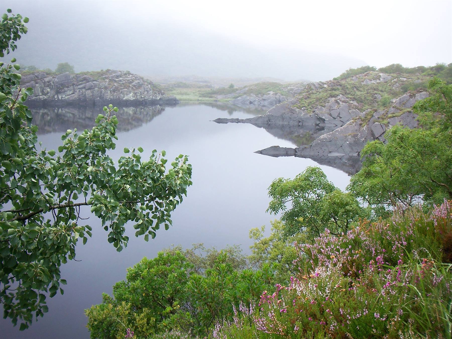 angoli di dal ring of kerry