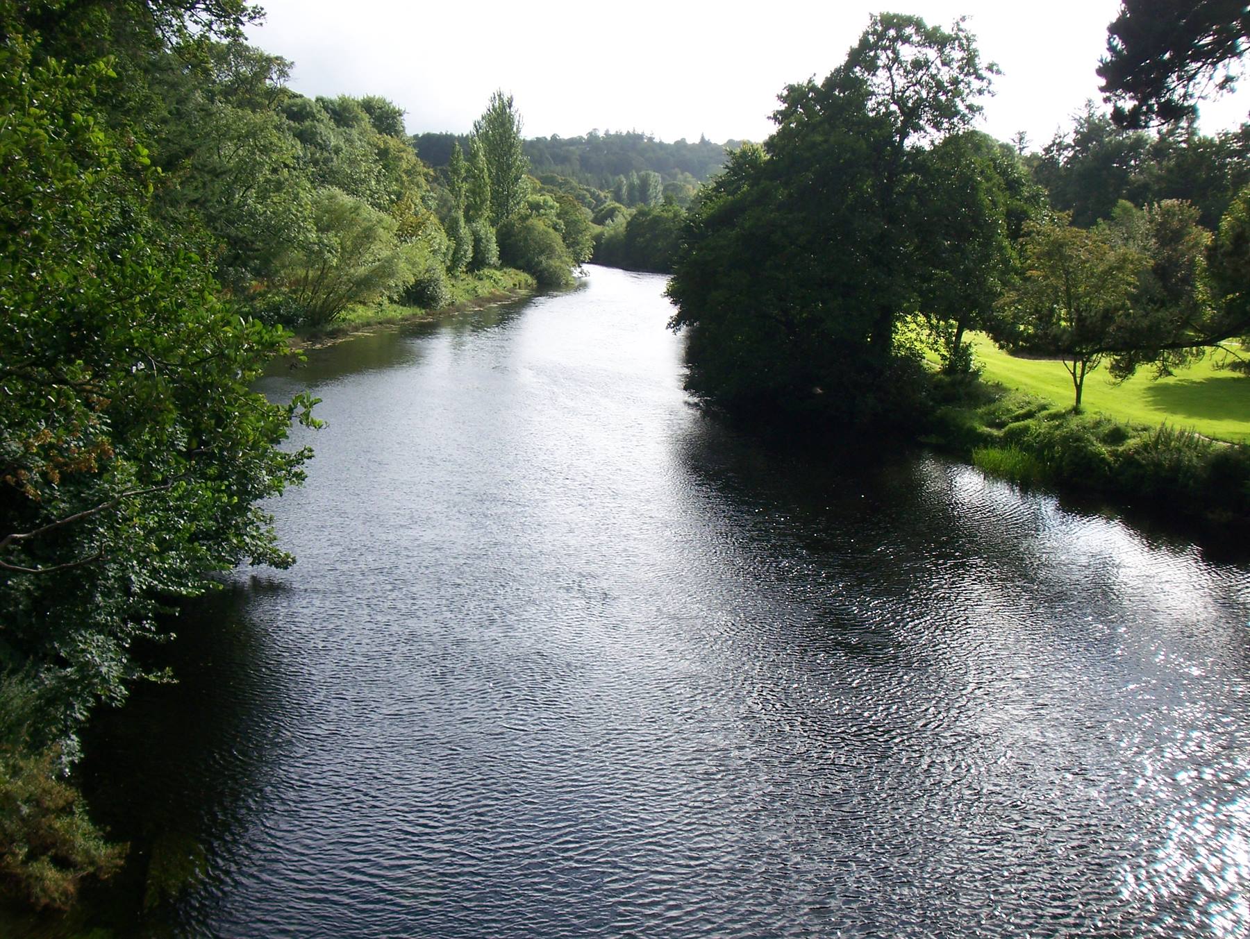angli dal kerry