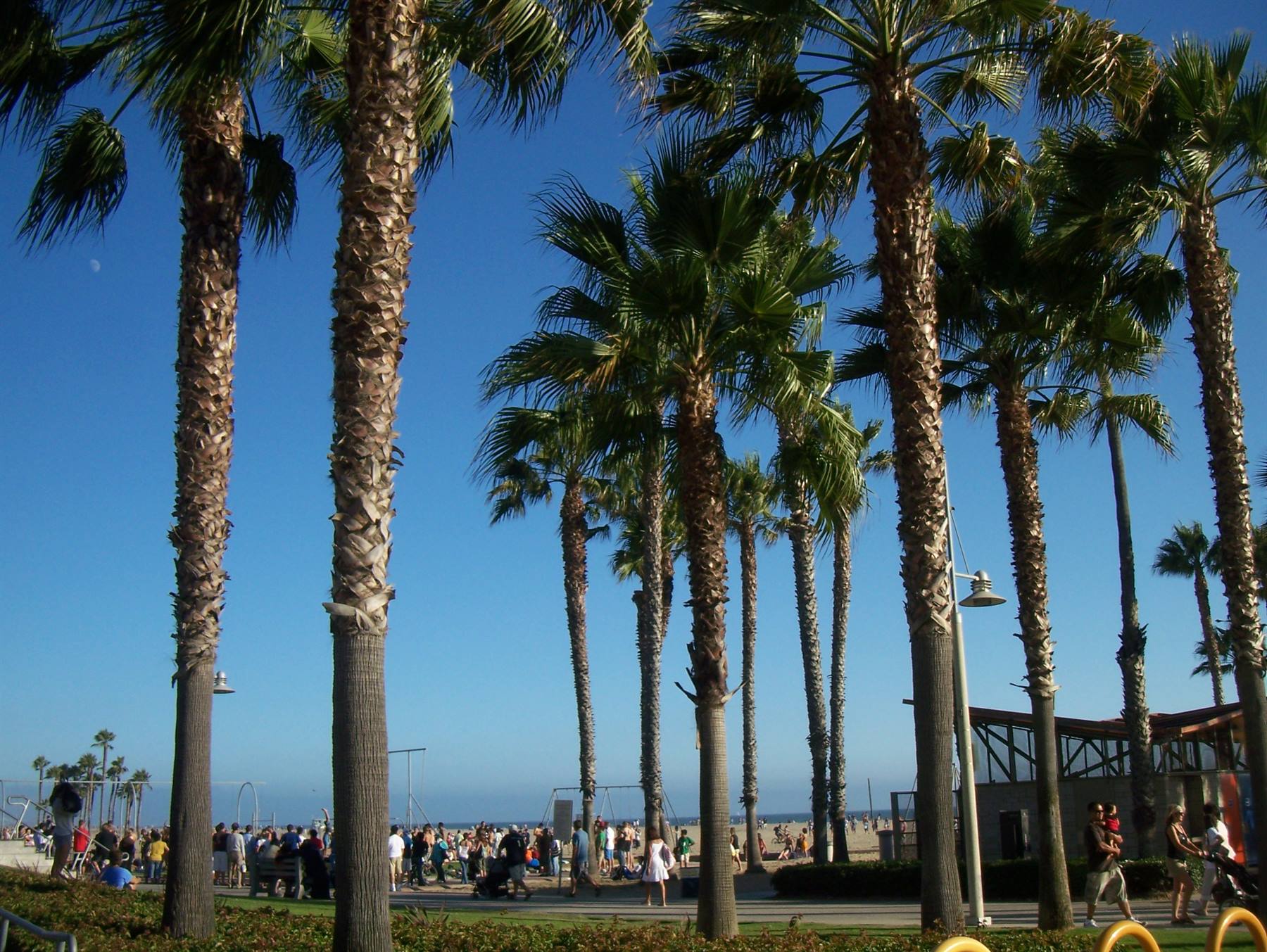 santa monica
