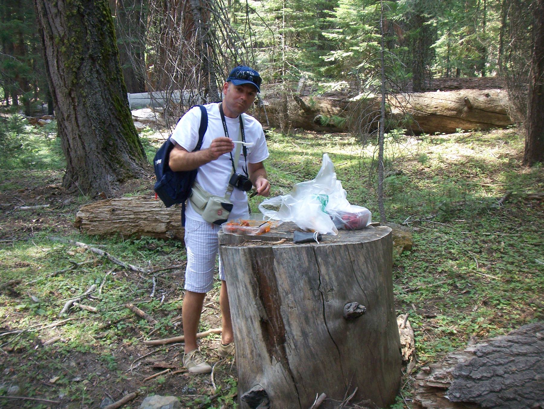 pranzo sul tronco di sequoia