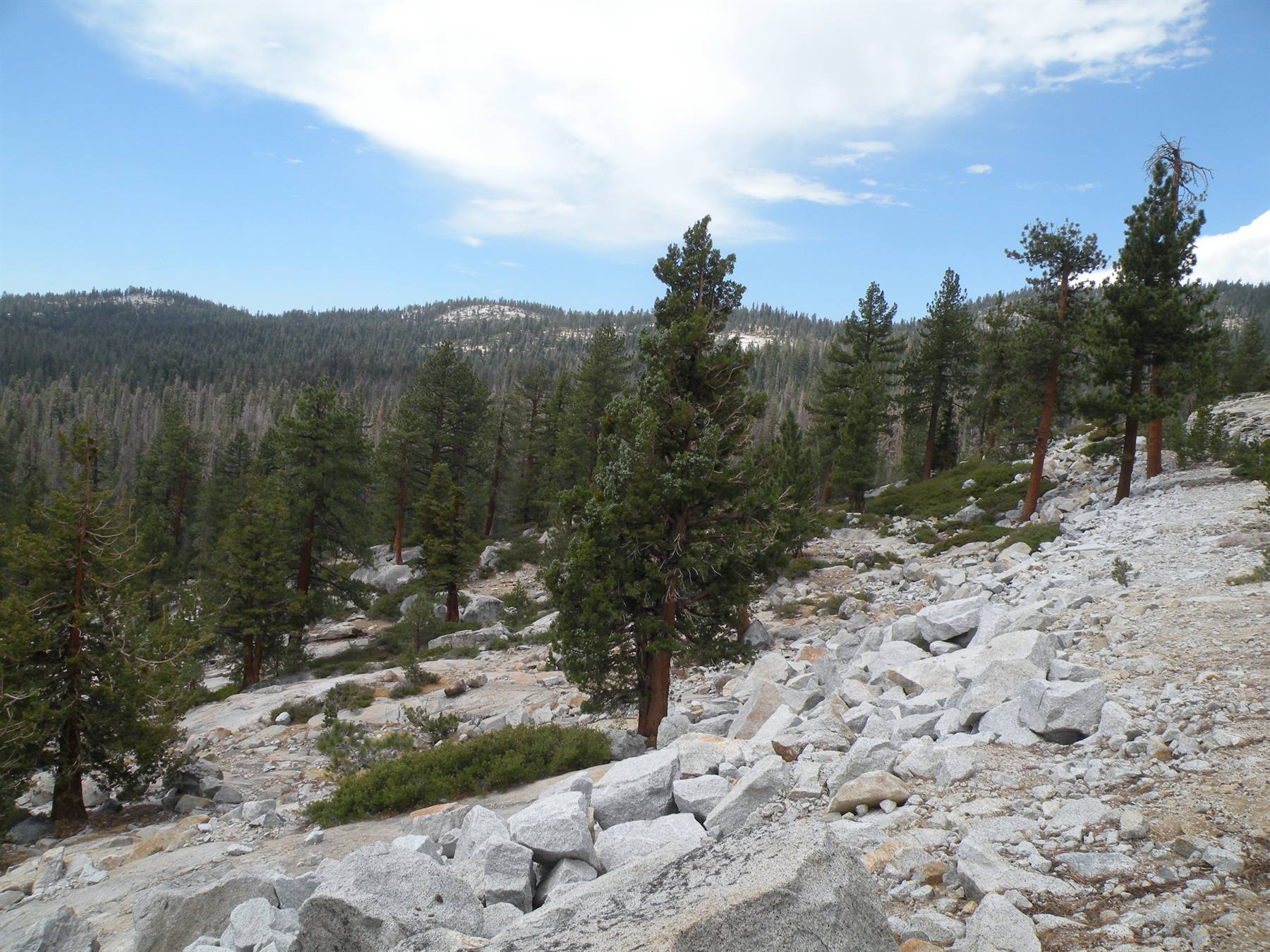 yosemite