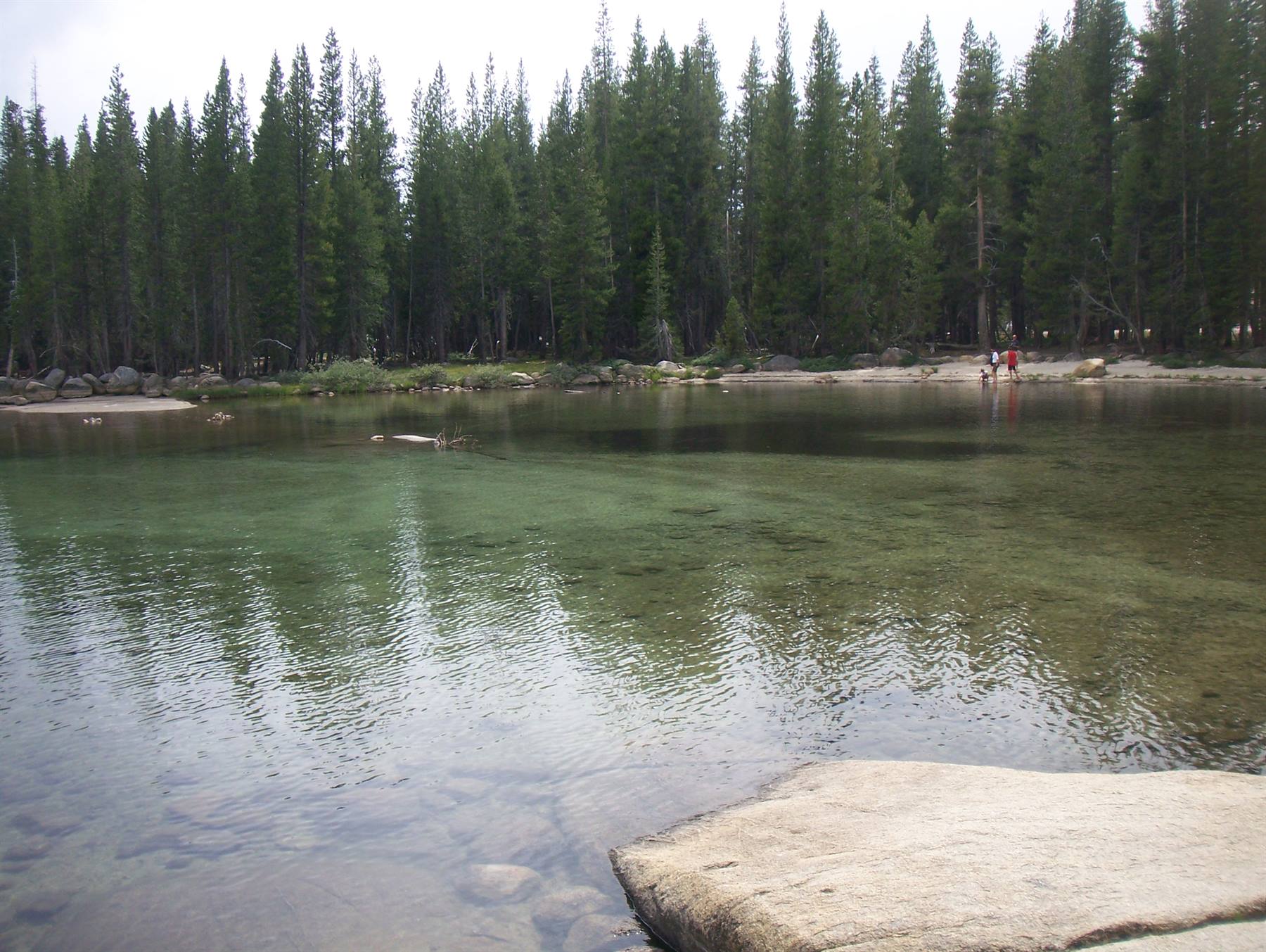 tioga pass