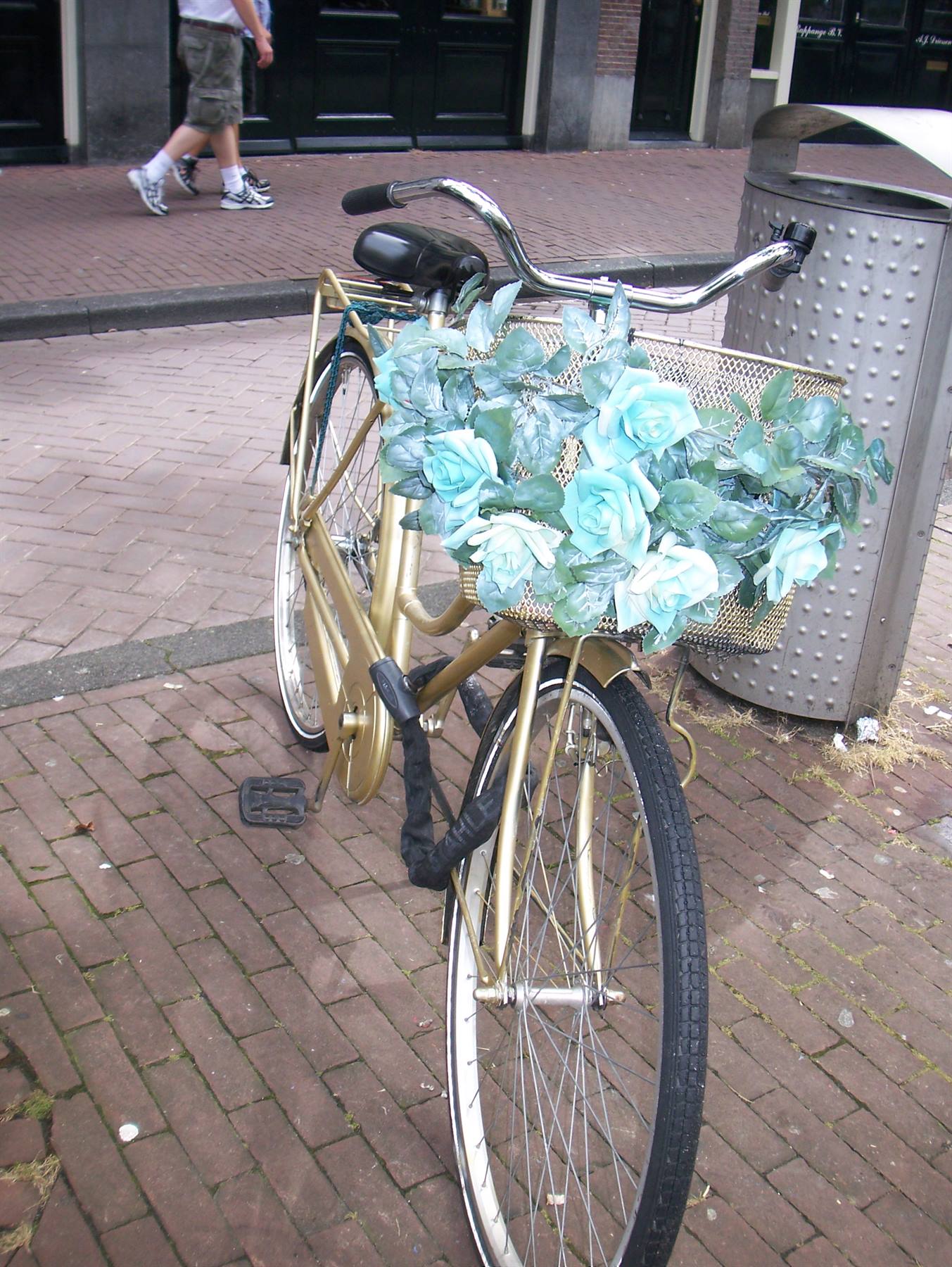 Foto di viaggio in OLANDA