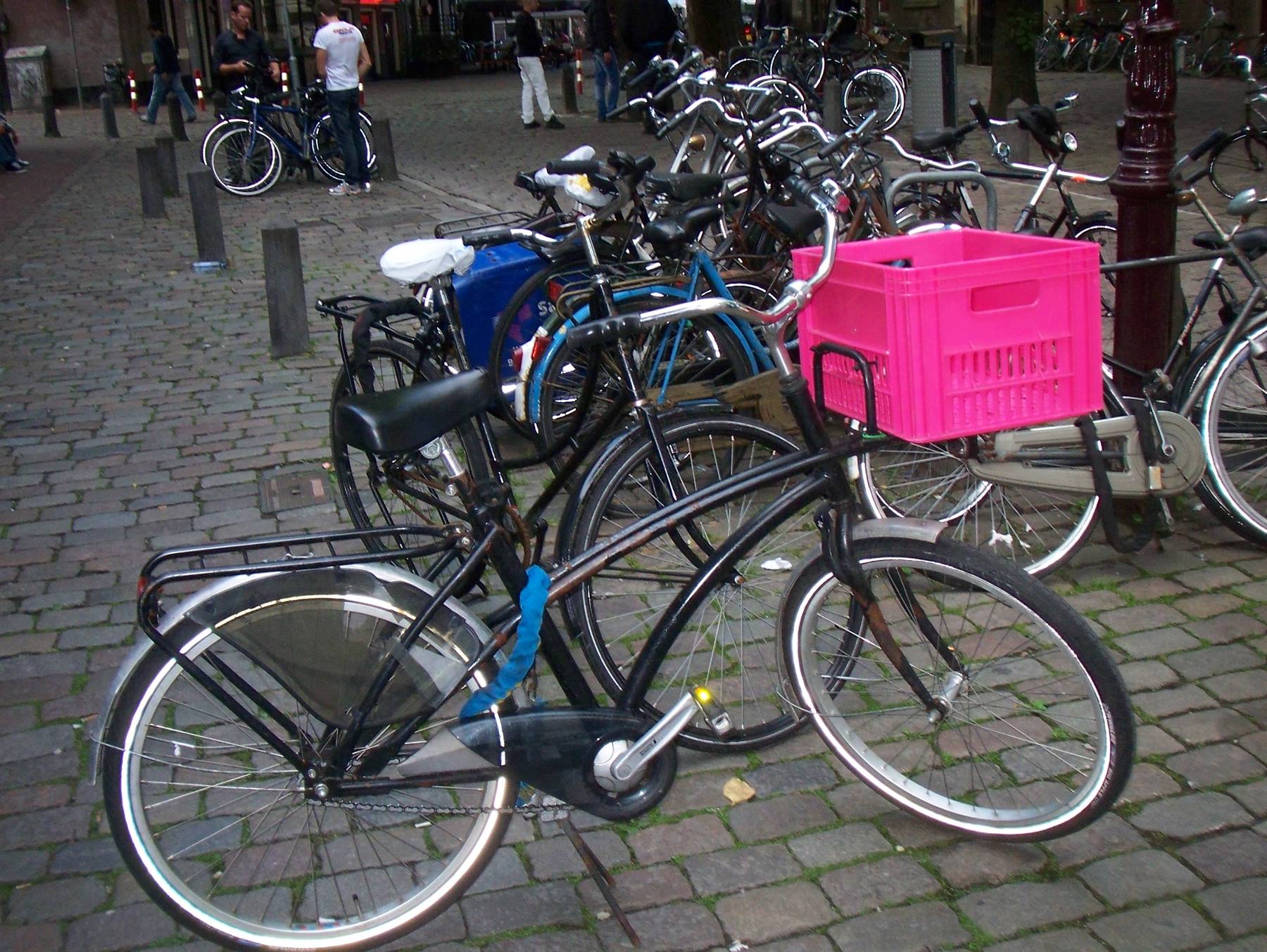 Foto di viaggio in OLANDA