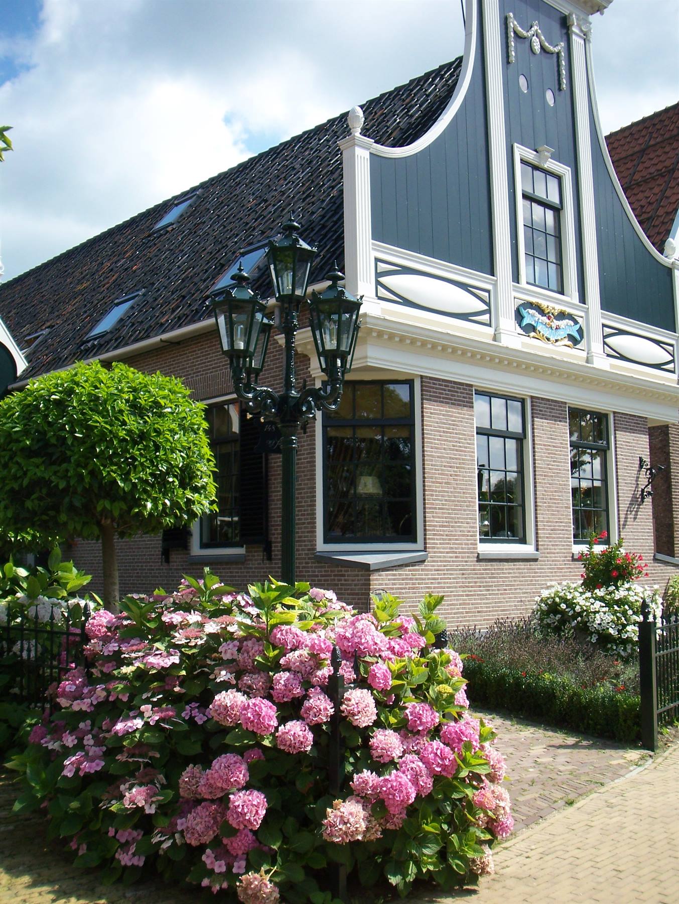 Foto di viaggio in OLANDA