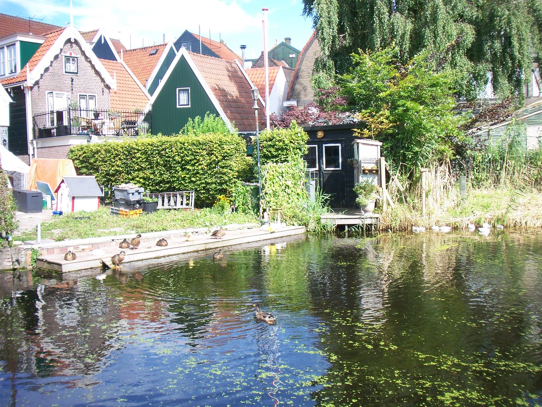 Foto di viaggio in OLANDA