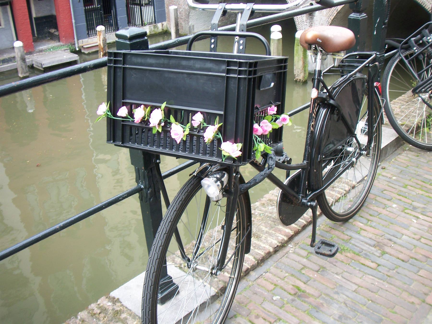 Foto di viaggio in OLANDA