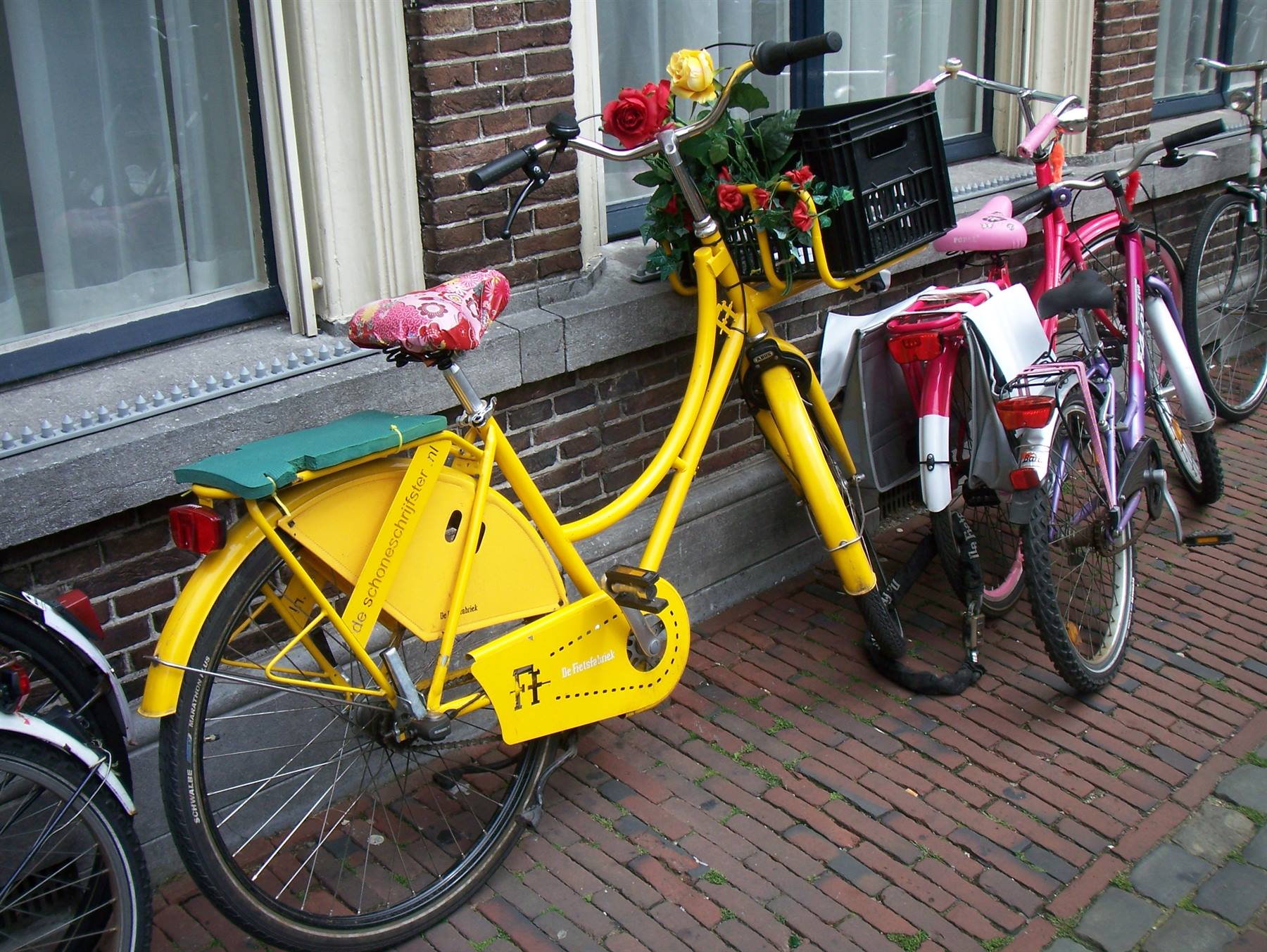 Foto di viaggio in OLANDA