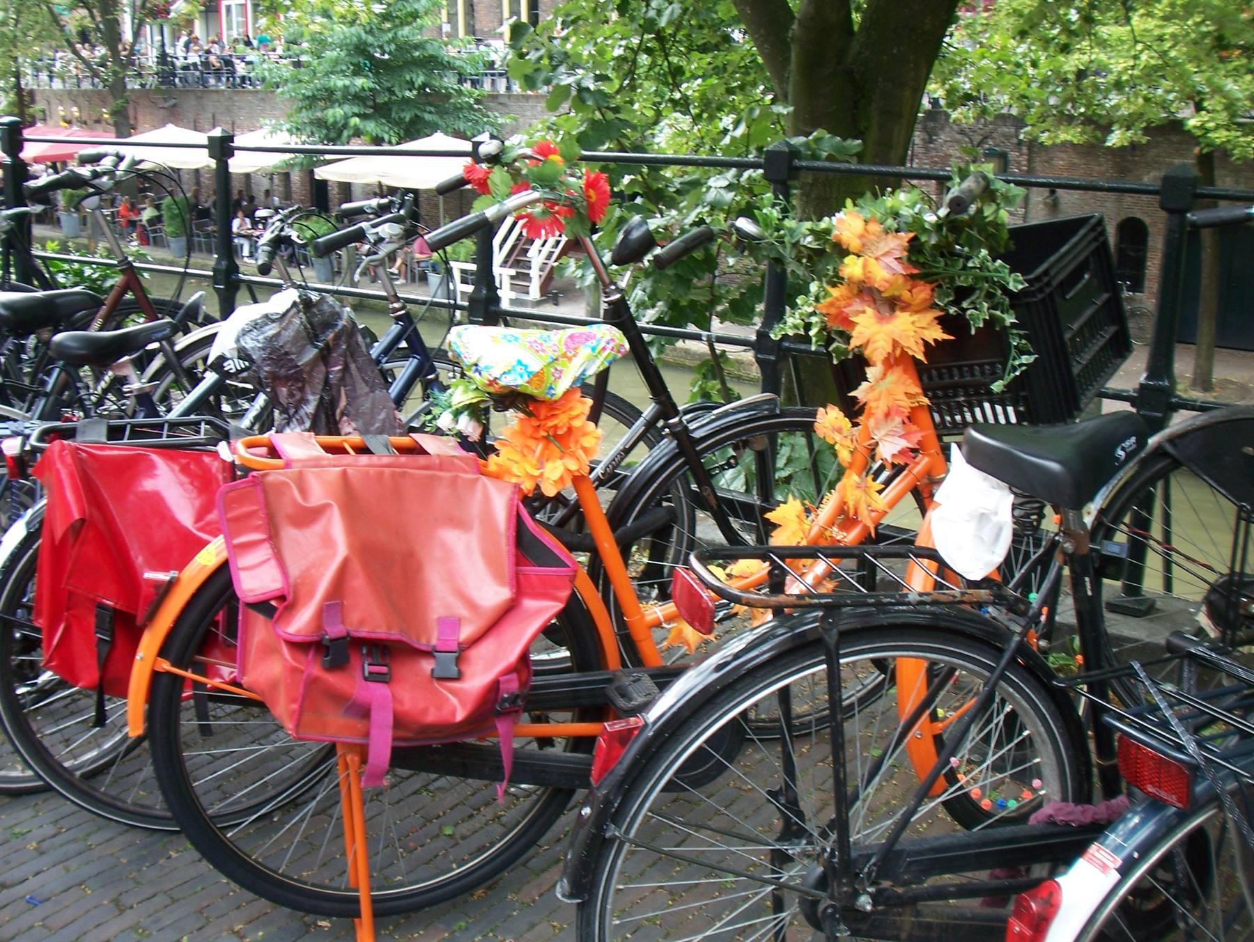 Foto di viaggio in OLANDA