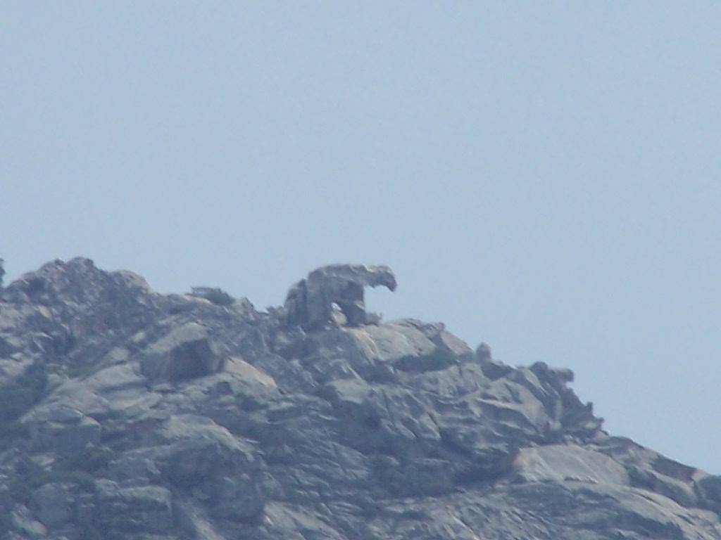 Roccia dell'orso