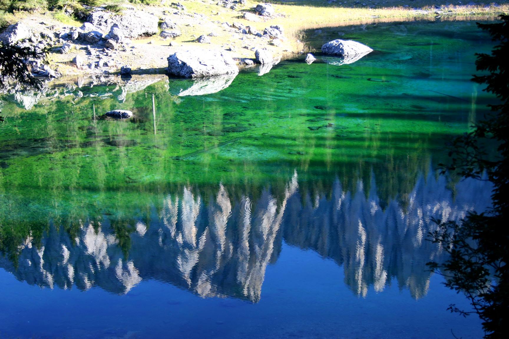 Riflessi nel lago di Carezza (BZ) - Alto Adige