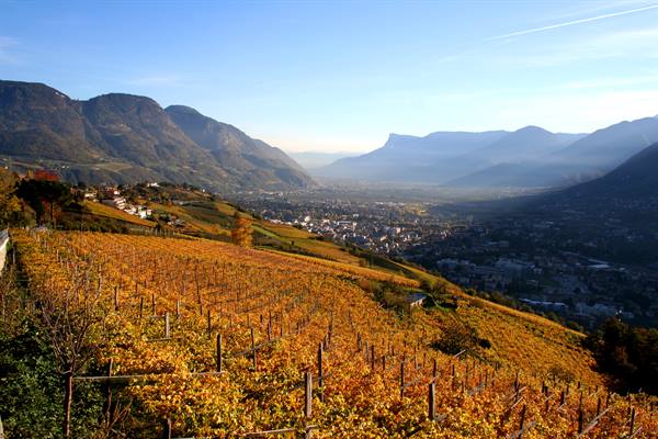 Merano (BZ) - Alto Adige