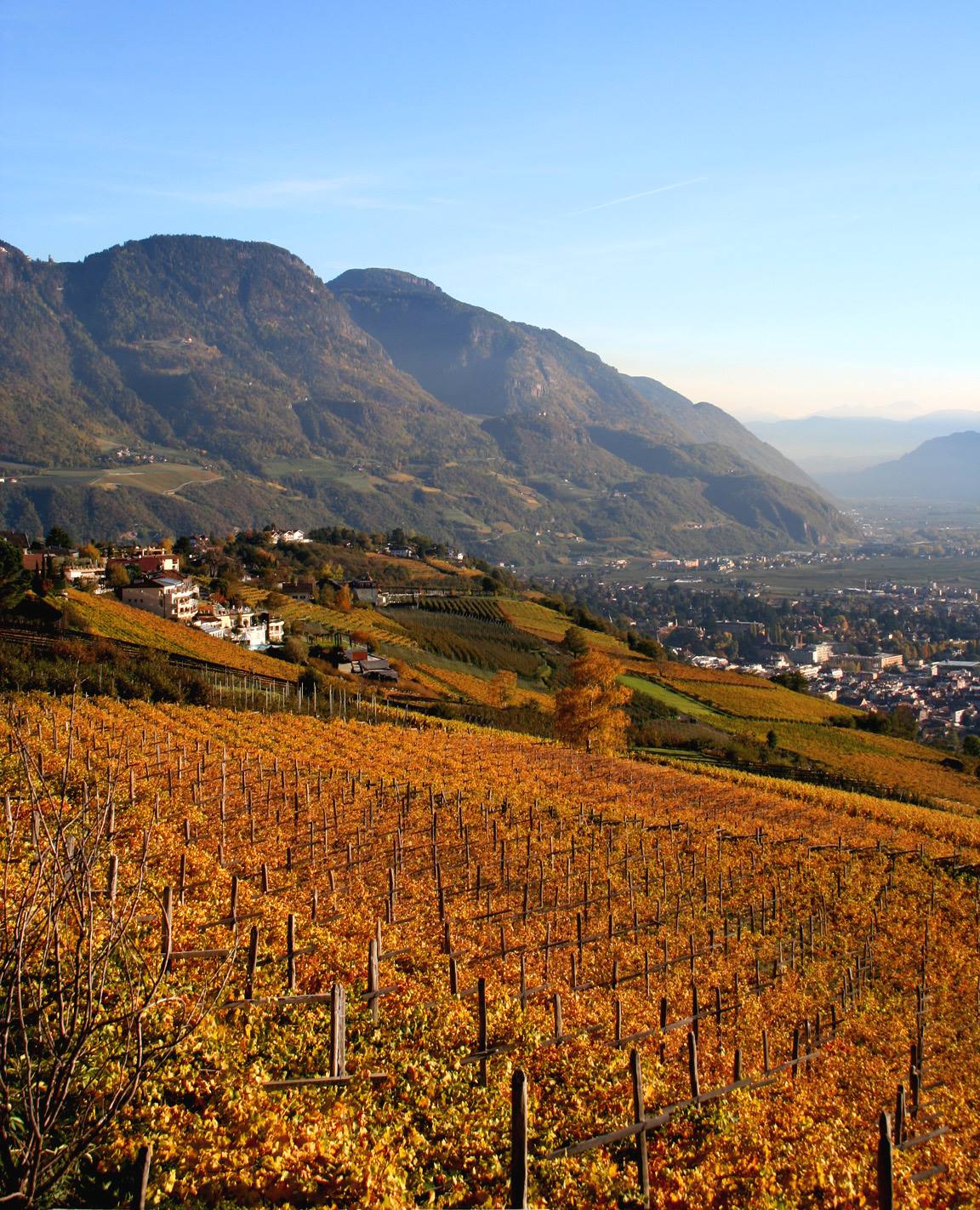 Merano (BZ) - Alto Adige