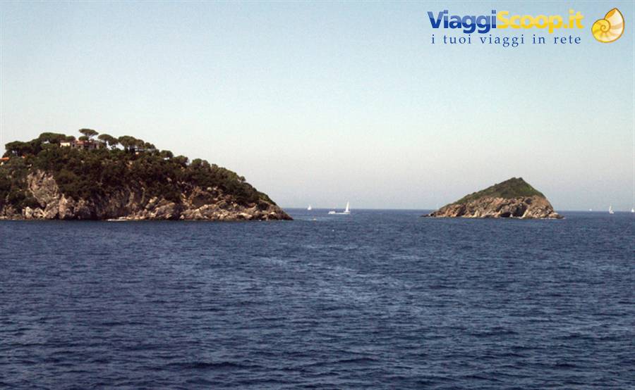 Isola dei Topi