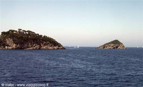 Isola dei Topi