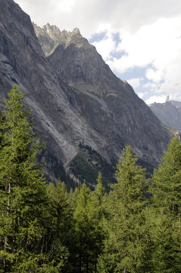 Val Veny contafforti della catena del Bianco