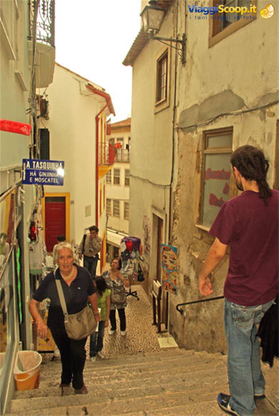 Coimbra Scale
