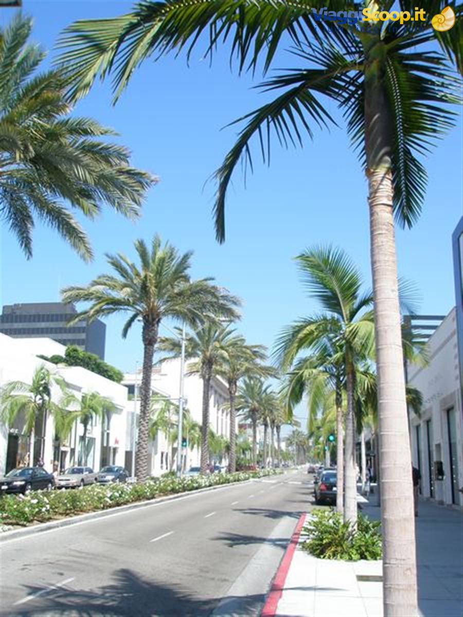 Rodeo Drive