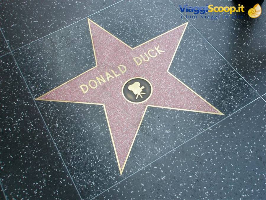 Hollywood
