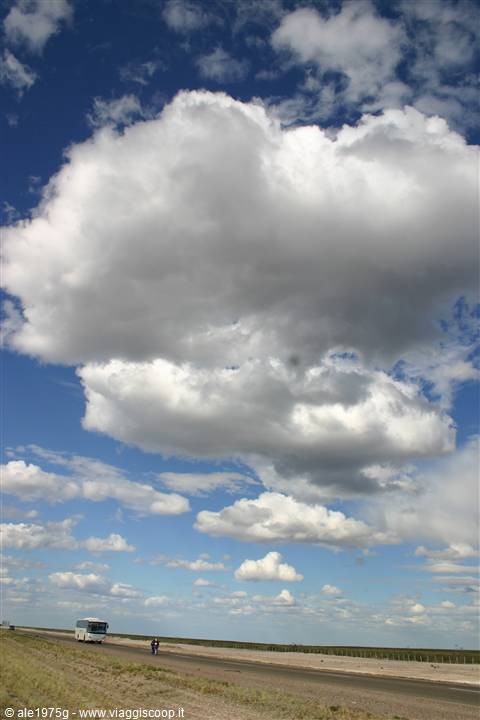 IMMENSI PAESAGGI