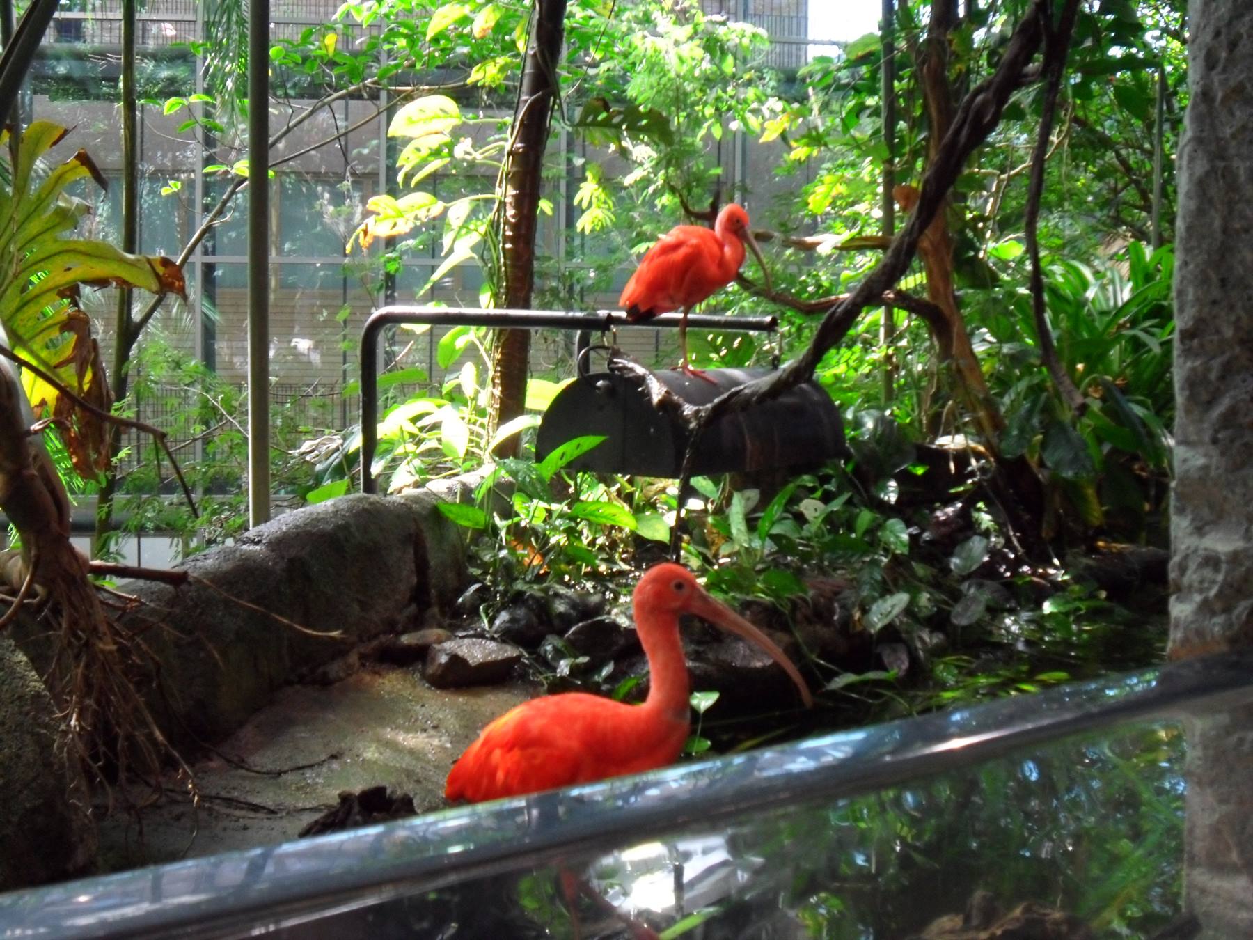 UNIVERSEUM