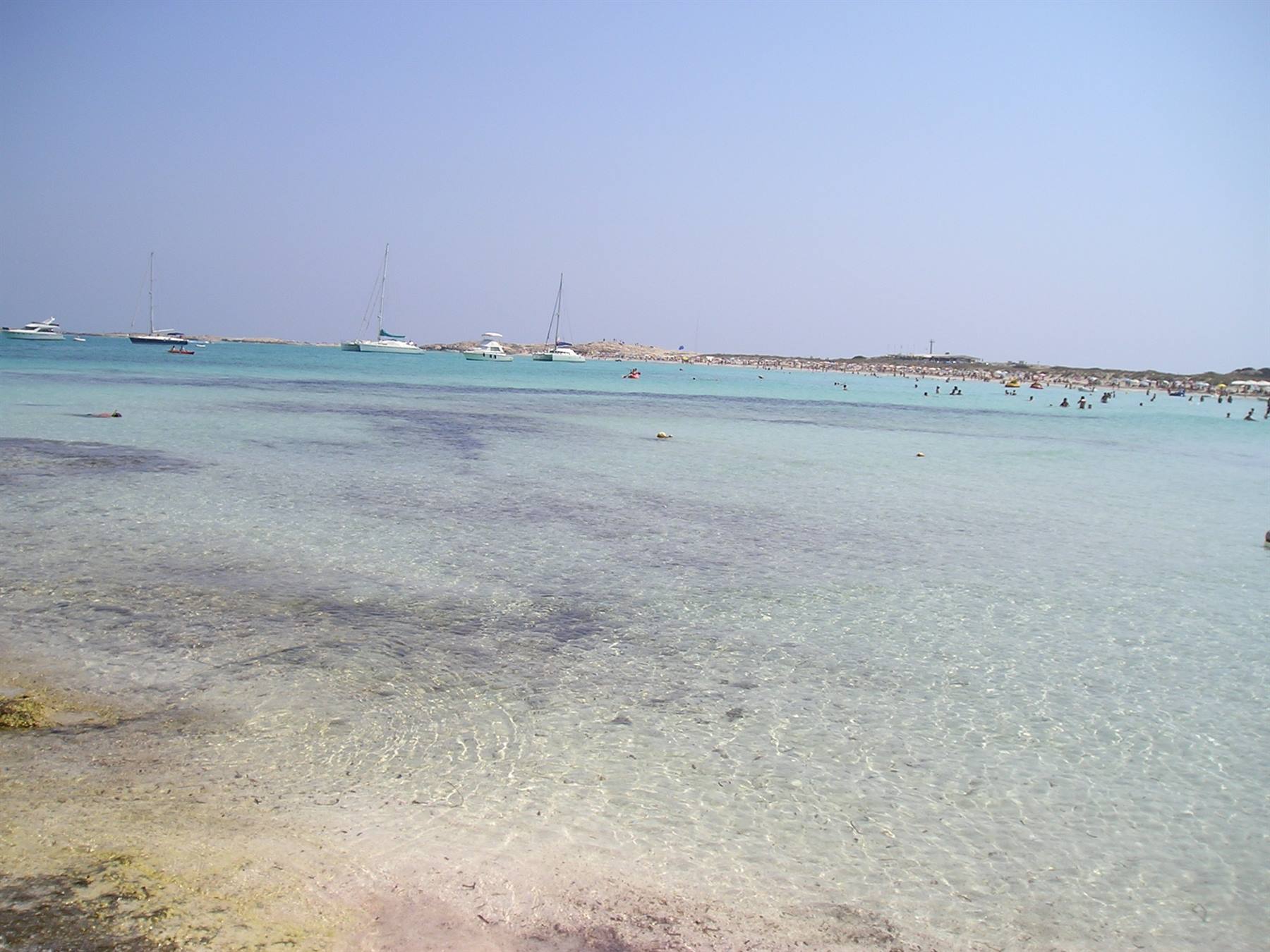 Llevant