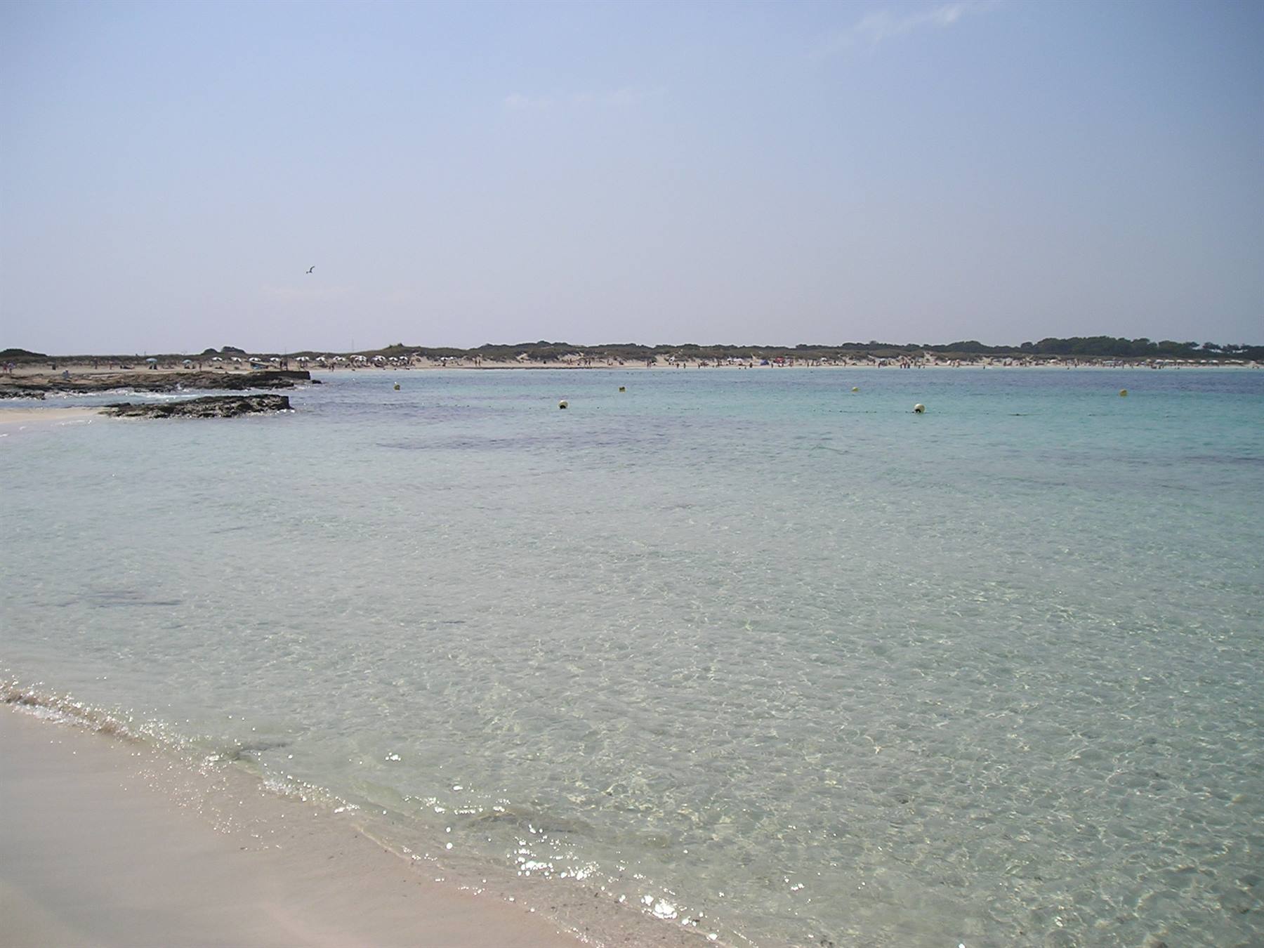 Llevant