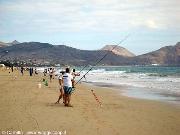 Gara pesca