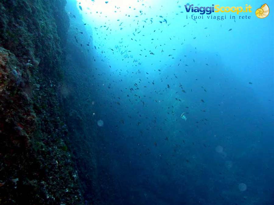 Foto di viaggio in ITALIA