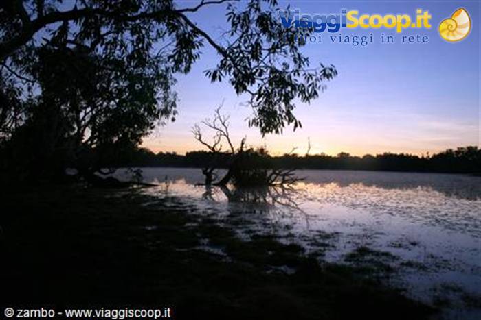 Alba al Kakadu