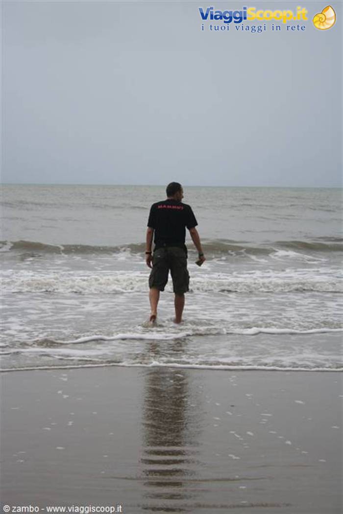 Cape tribulation