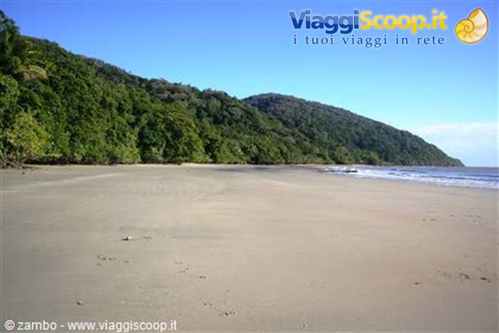 Cape Tribulation