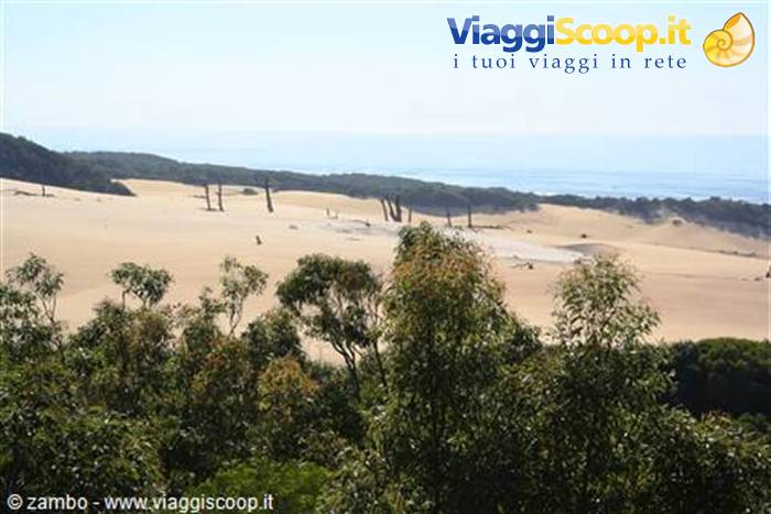 Fraser Island