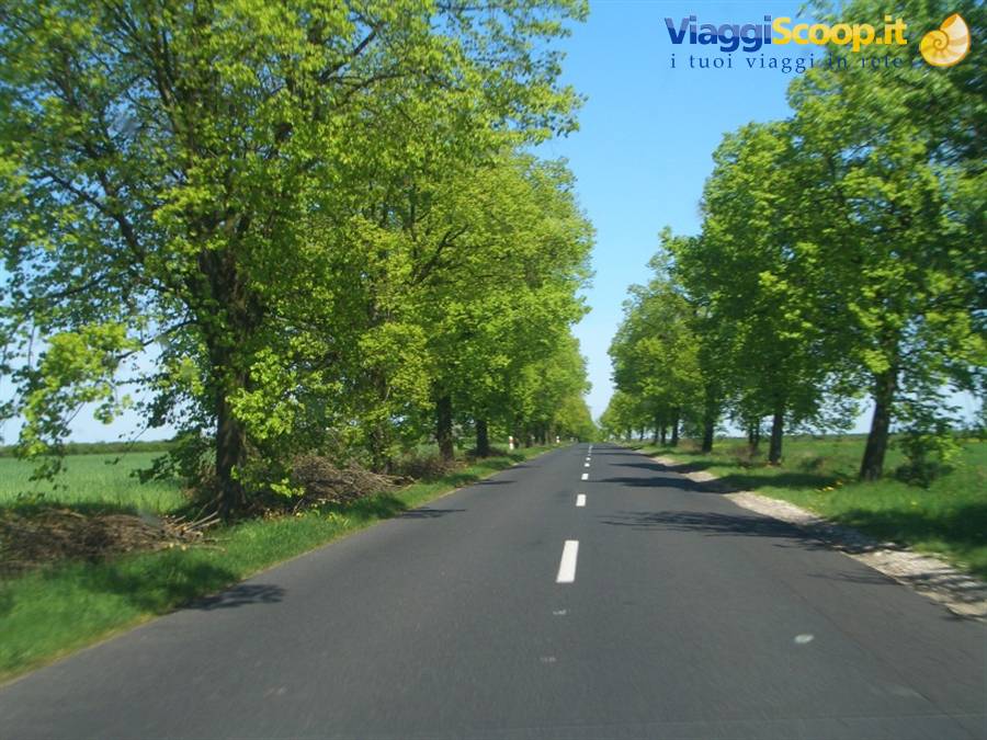 Poland Roads