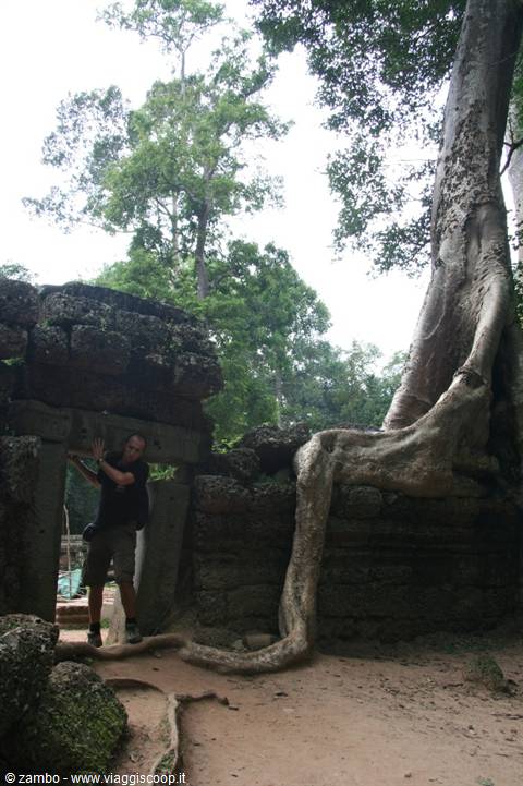 Ta Prohm