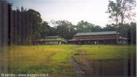 Accampamento nella giungla