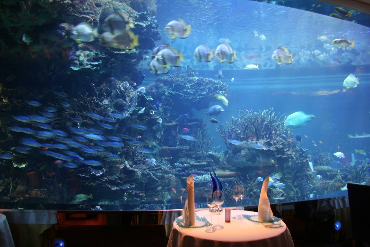 Ristorante vista...acquario