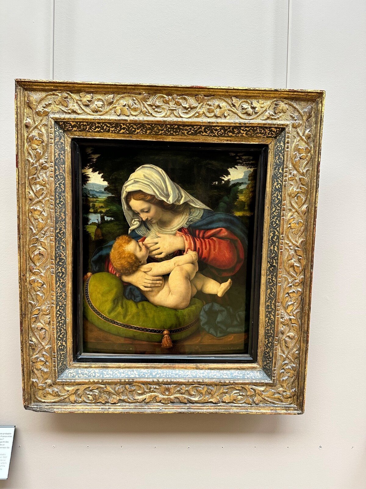 Davanti alla Madonna Litta all'Ermitage: meraviglia che non passa.