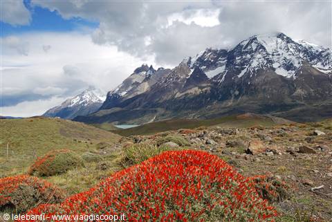 Torri del Paine - Panorama